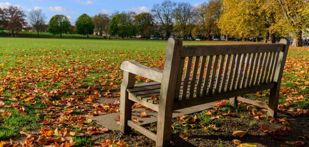 Fulham park bench on a sunny afternoon